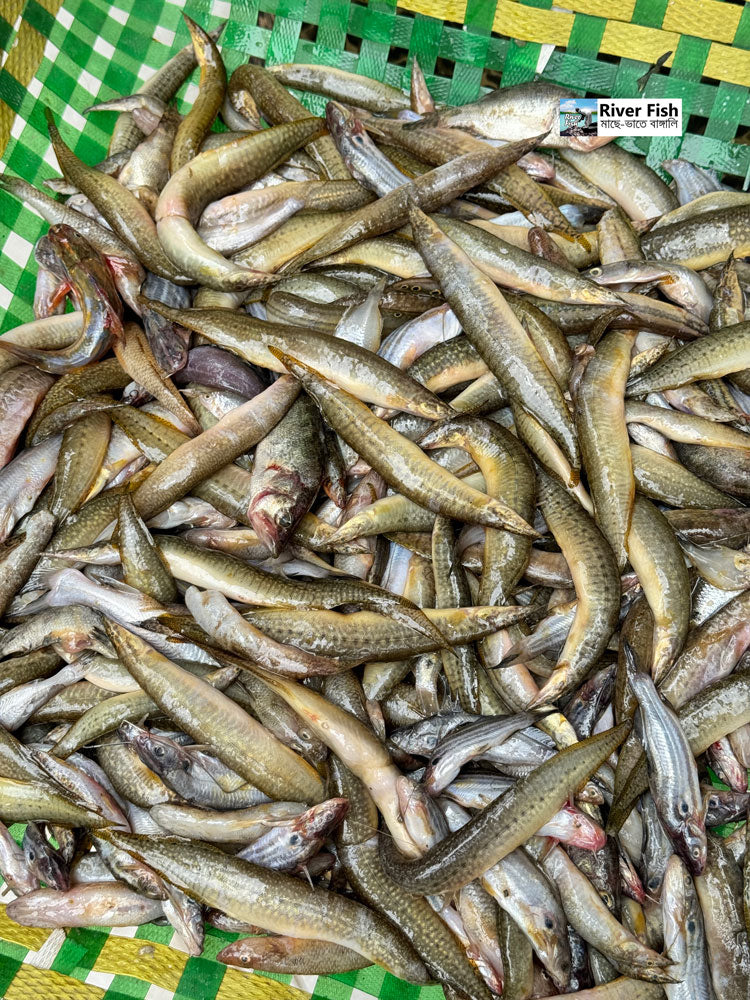 হাওড়ের বাইম মিশালি ১ কেজি