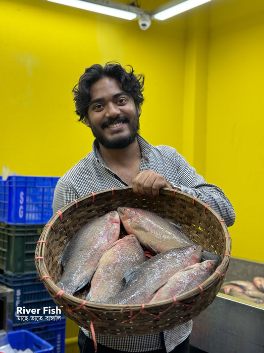 (প্রি-অর্ডার বুকিং - ডেলিভারি টাইম ৭ দিন) নদীর কালিবাউস ৬০০-৮০০ গ্রাম সাইজ পারকেজি 785/-