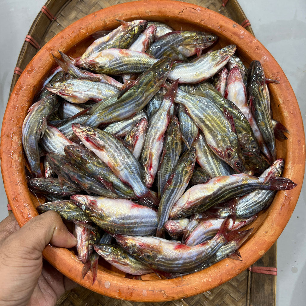 হাওরের দেশি টেংরা ছোট সাইজ হাফ কেজি