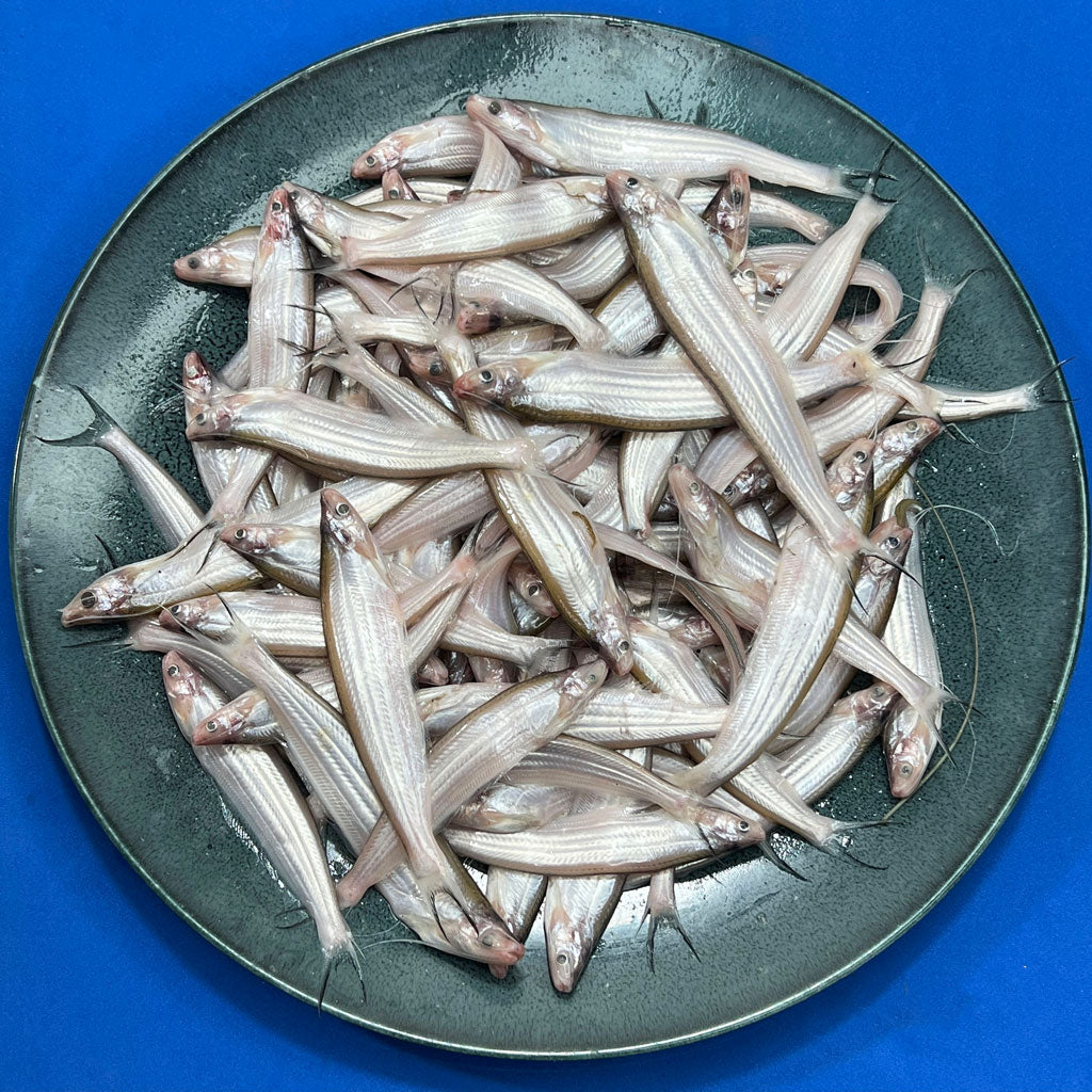 যমুনা নদীর কাজুলি - বাঁশপাতা মাছ হাফ কেজি