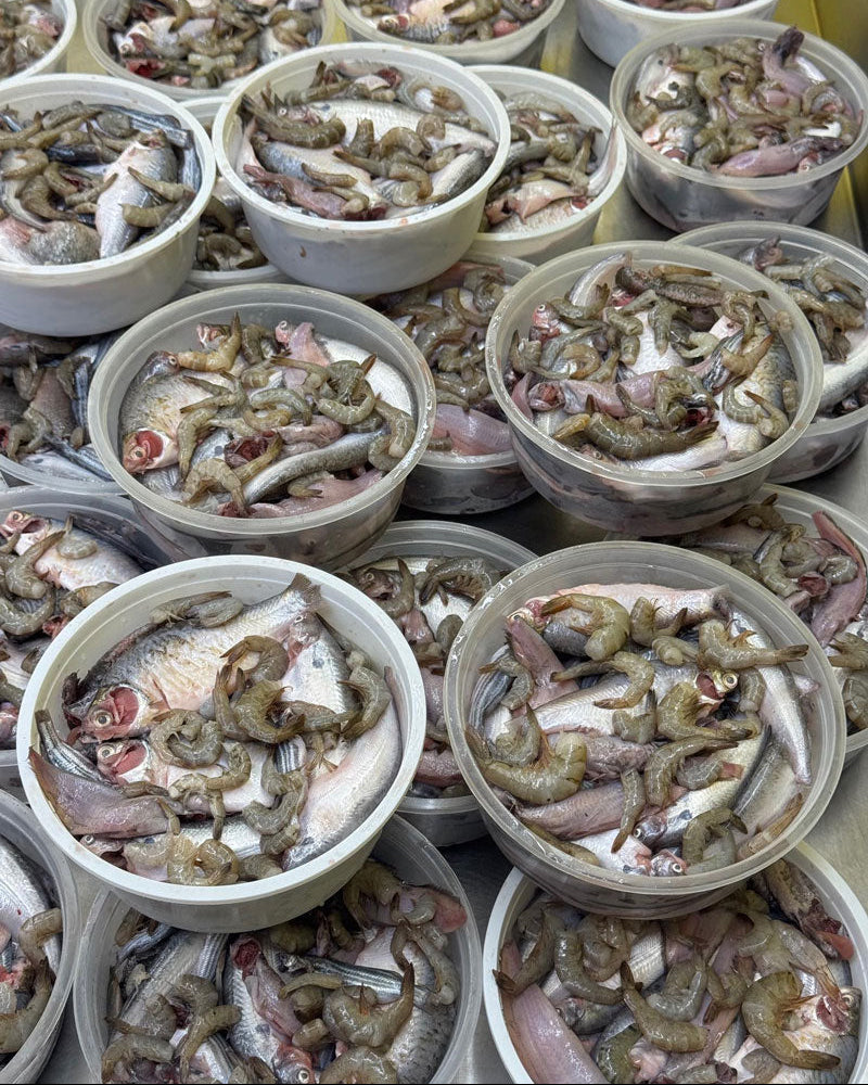 রেডি টু কুক পাঁচমিশালি