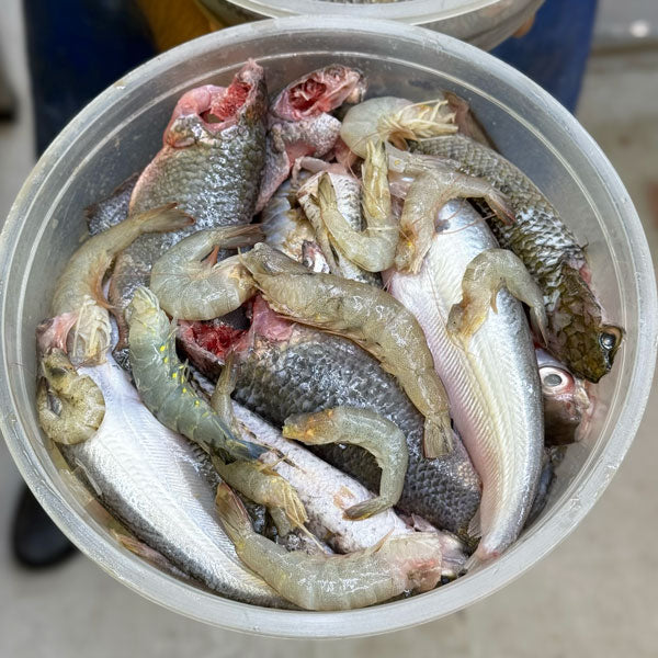 রেডি টু কুক পাঁচমিশালি