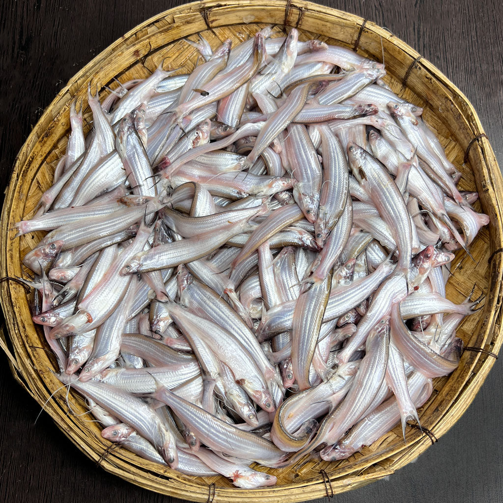 যমুনা নদীর কাজুলি - বাঁশপাতা মাছ হাফ কেজি