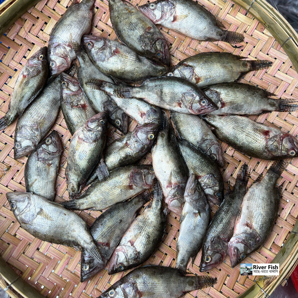 হাওড়ের দেশি মেনি মাছ মিক্সড সাইজ হাফ কেজি