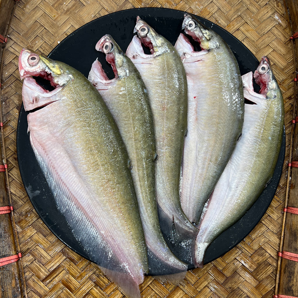 দেশি ফলি (কেজিতে ৫-৭ পিস) ১ কেজি