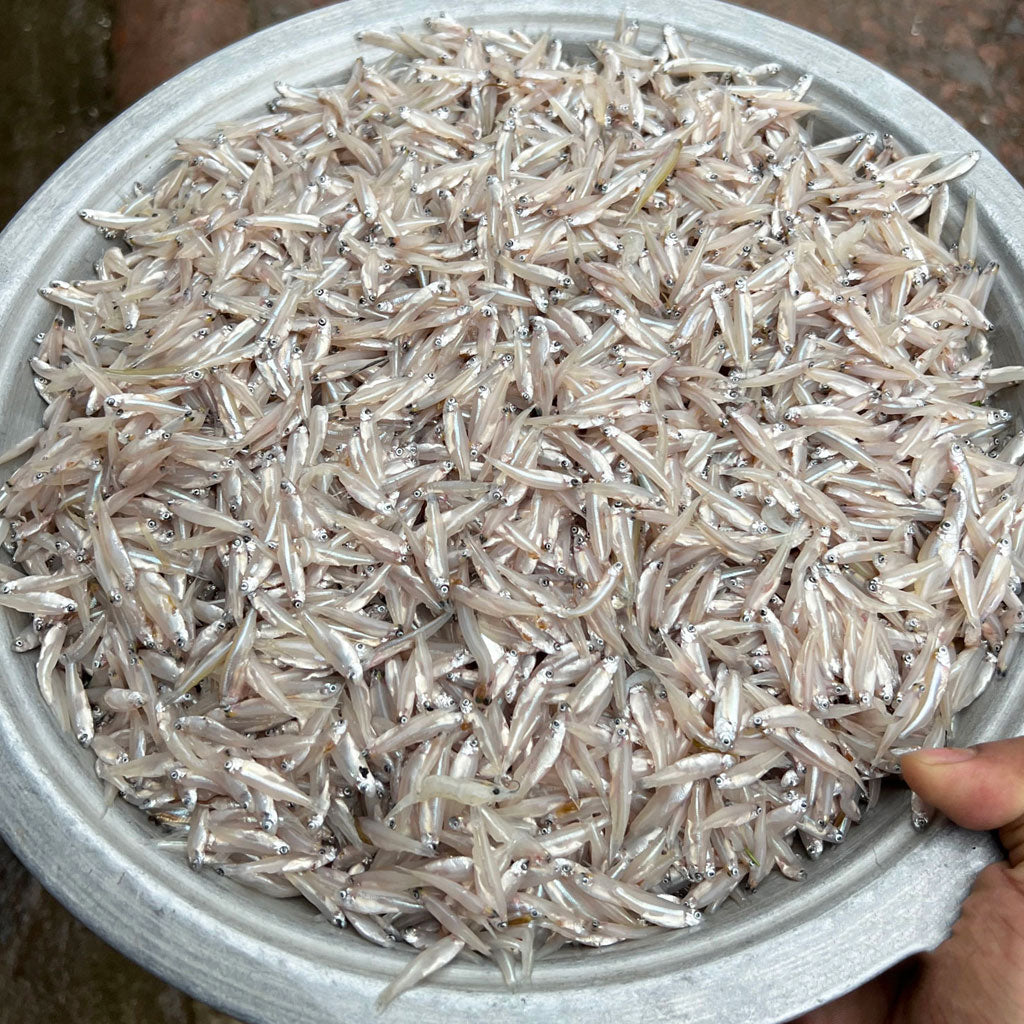 নদীর কাচকি মাছ ১ কেজি