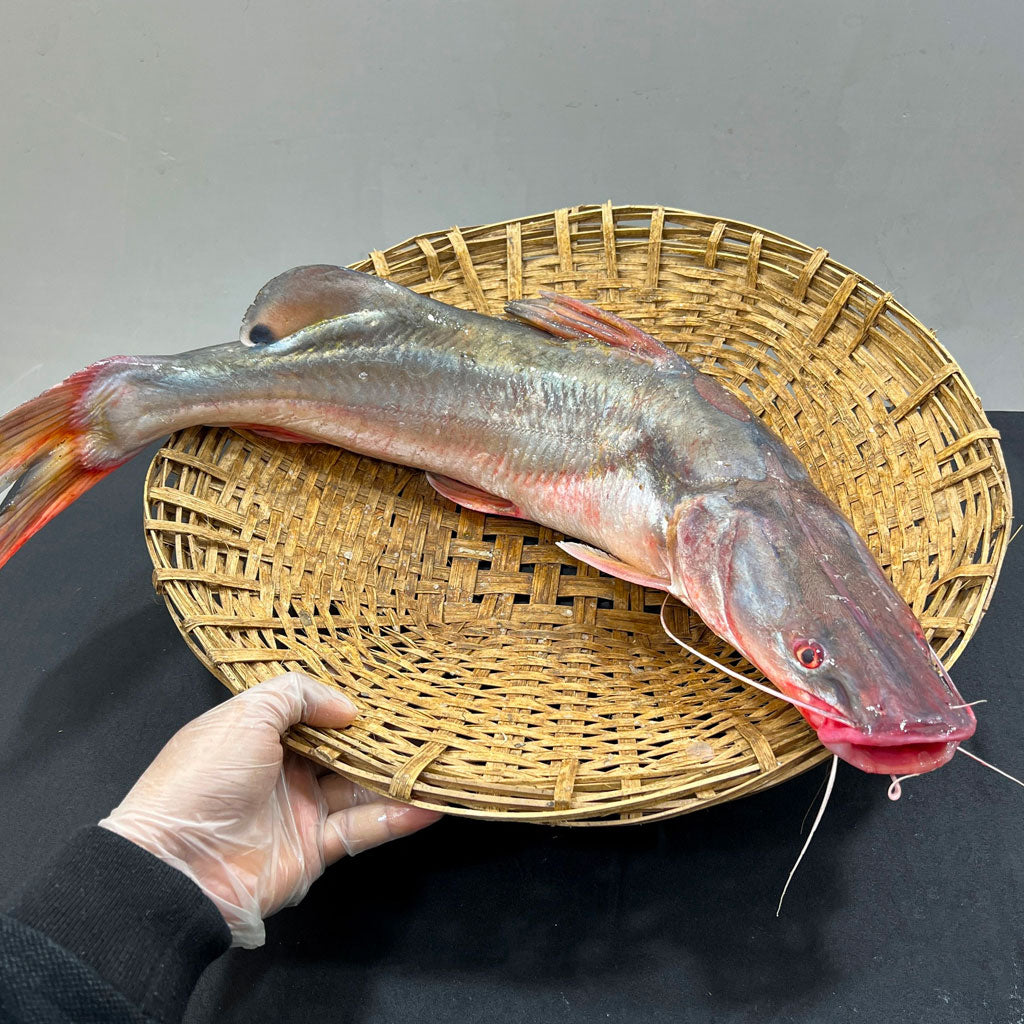 নদীর আইড় মাছ এক কেজি সাইজ পারকেজি