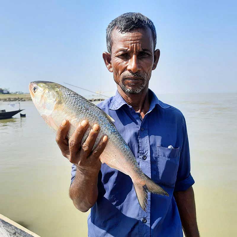 নদীর মাছ