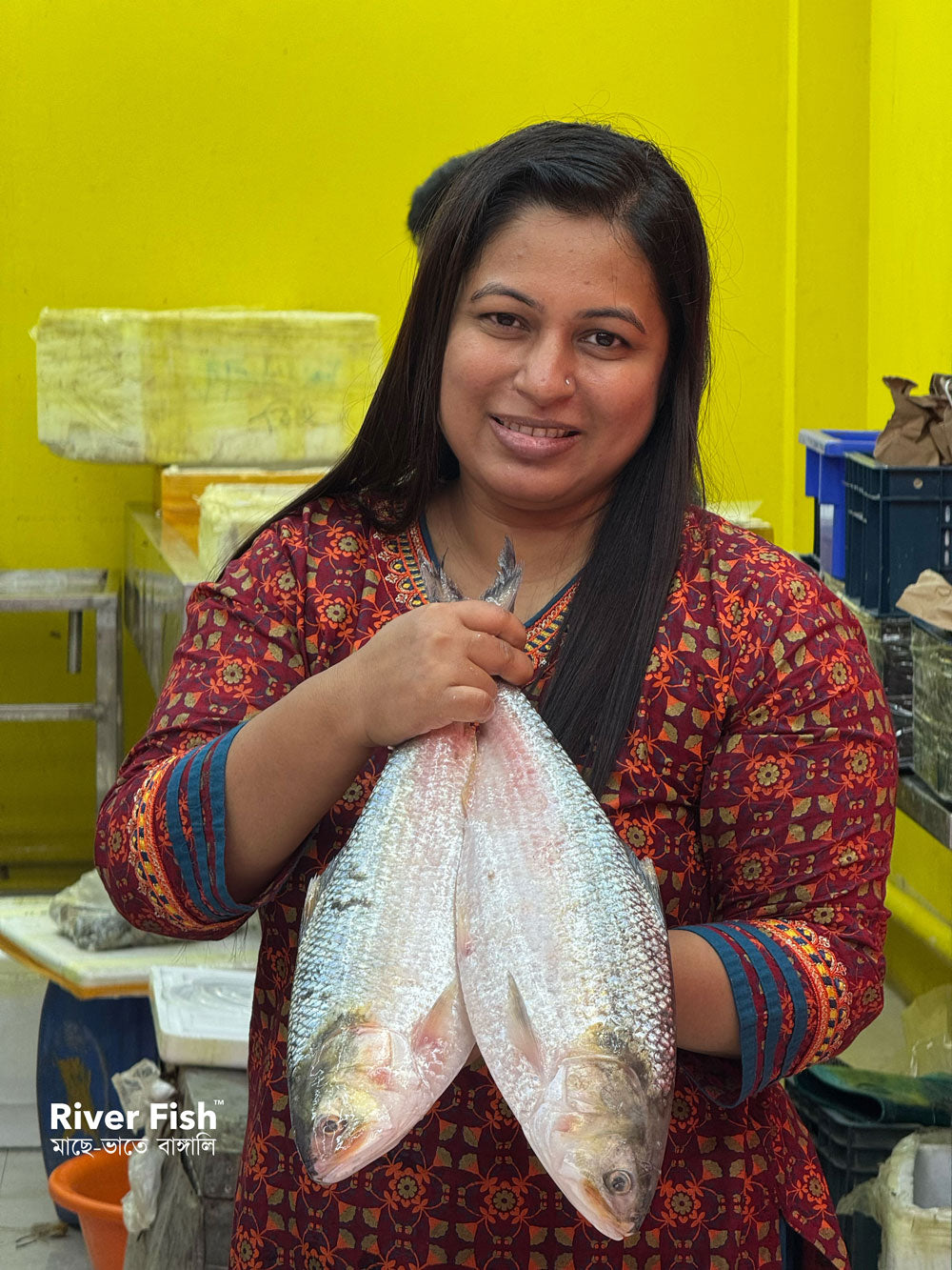 চাঁদপুরের লোকাল ইলিশ- ১২০০ গ্রাম প্লাস সাইজ পারকেজি