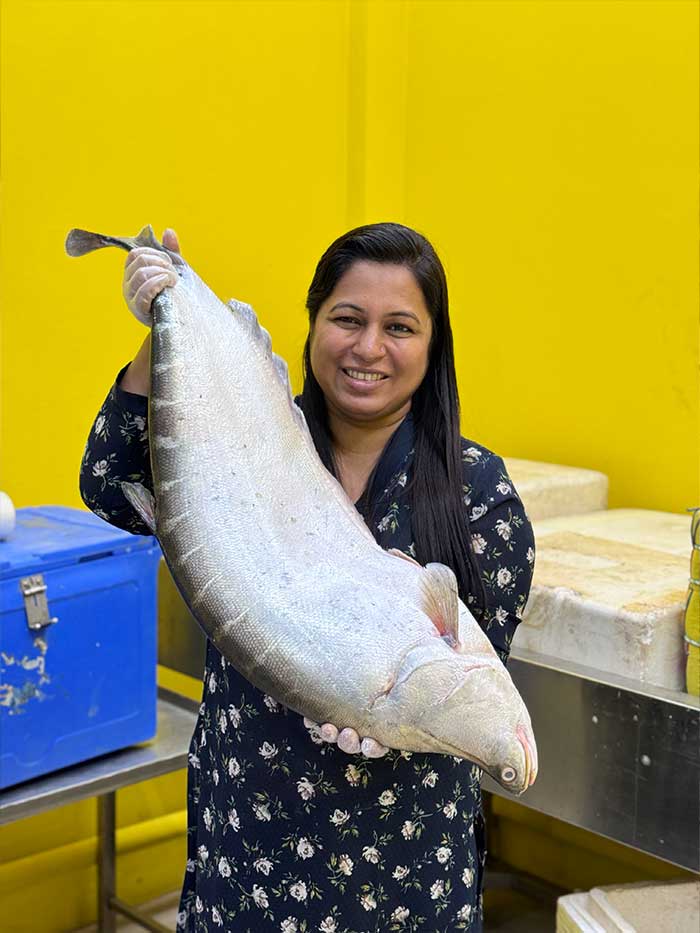 কিশোরগঞ্জের ধনু নদীর চিতল ৫ কেজি প্লাস / মাইনাস সাইজ পারকেজি 1450/-