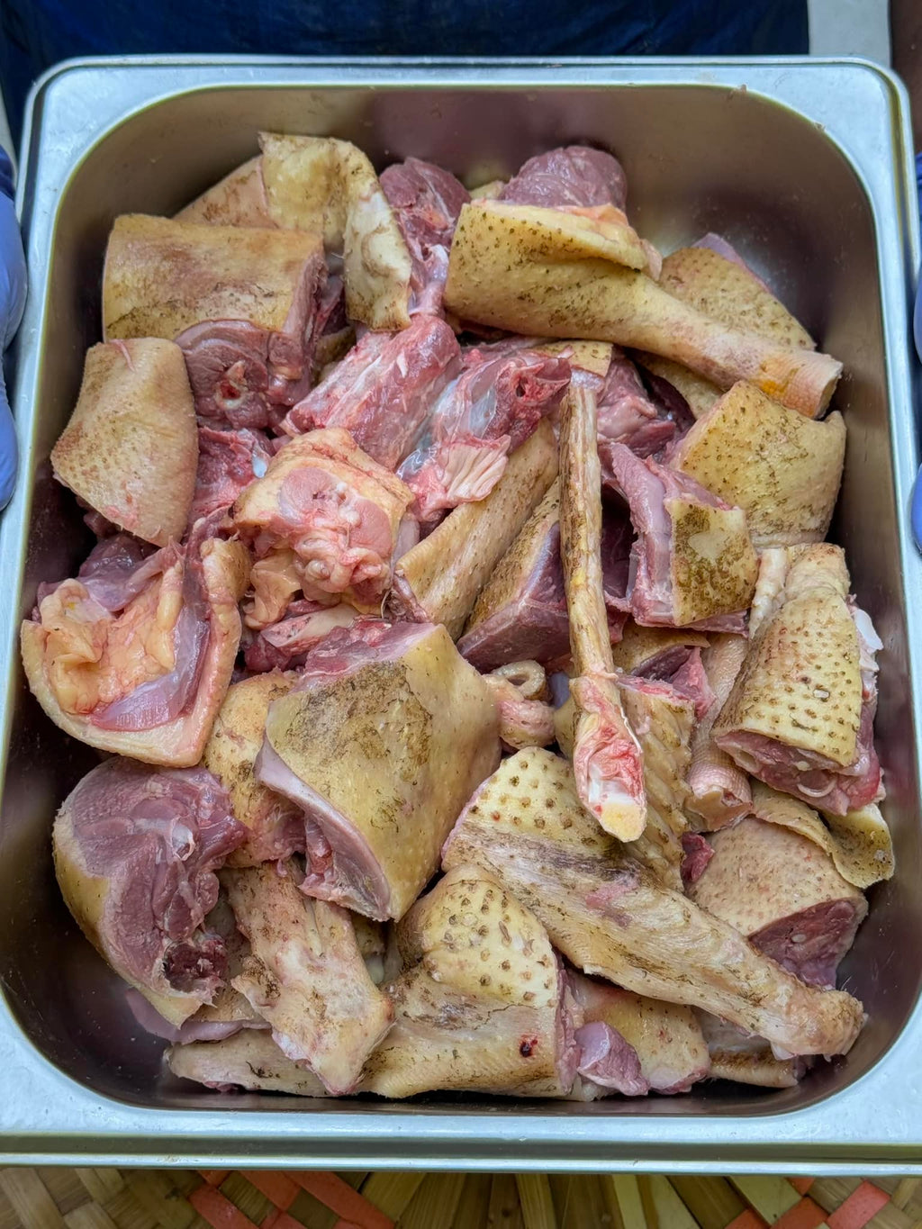 রাজহাঁস লাইভ ওয়েট ৩ কেজি সাইজ