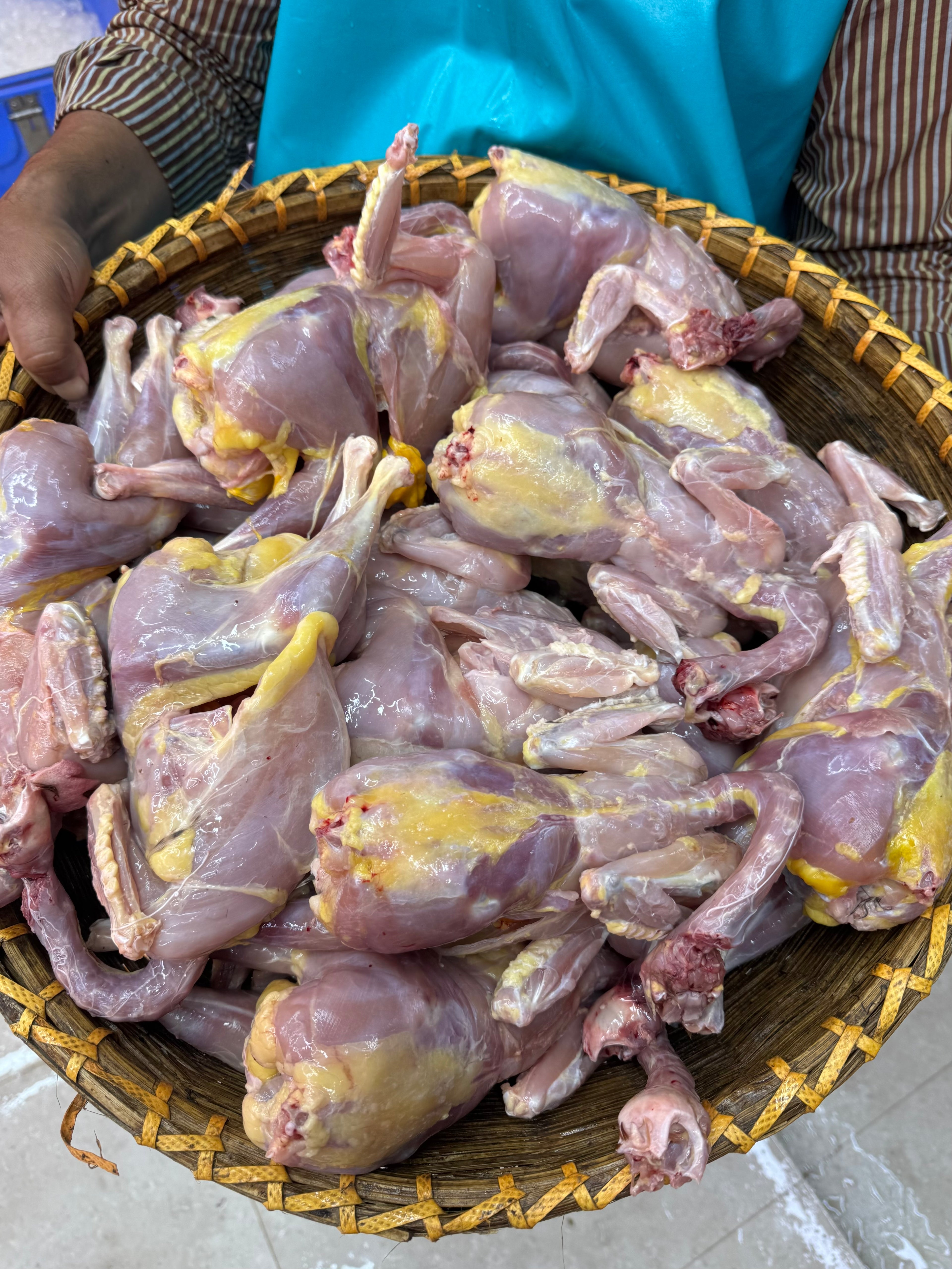 গ্রামের দেশি মুরগি (ডিমপাড়া তেলওয়ালা) লাইভ ওয়েট ৯০০/৯৫০ গ্রাম সাইজ