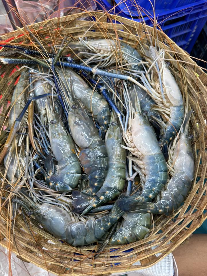 গলদা (১০-১৩ পিসে কেজি)