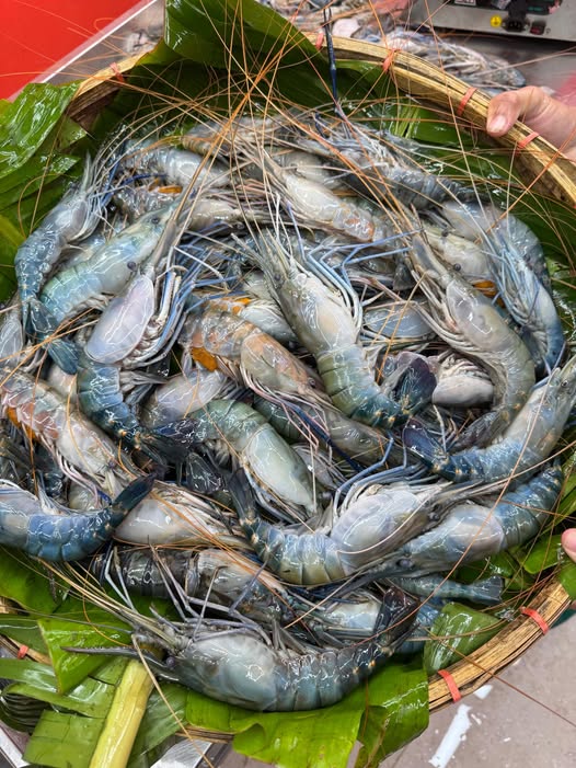 গলদা (১০-১৩ পিসে কেজি)