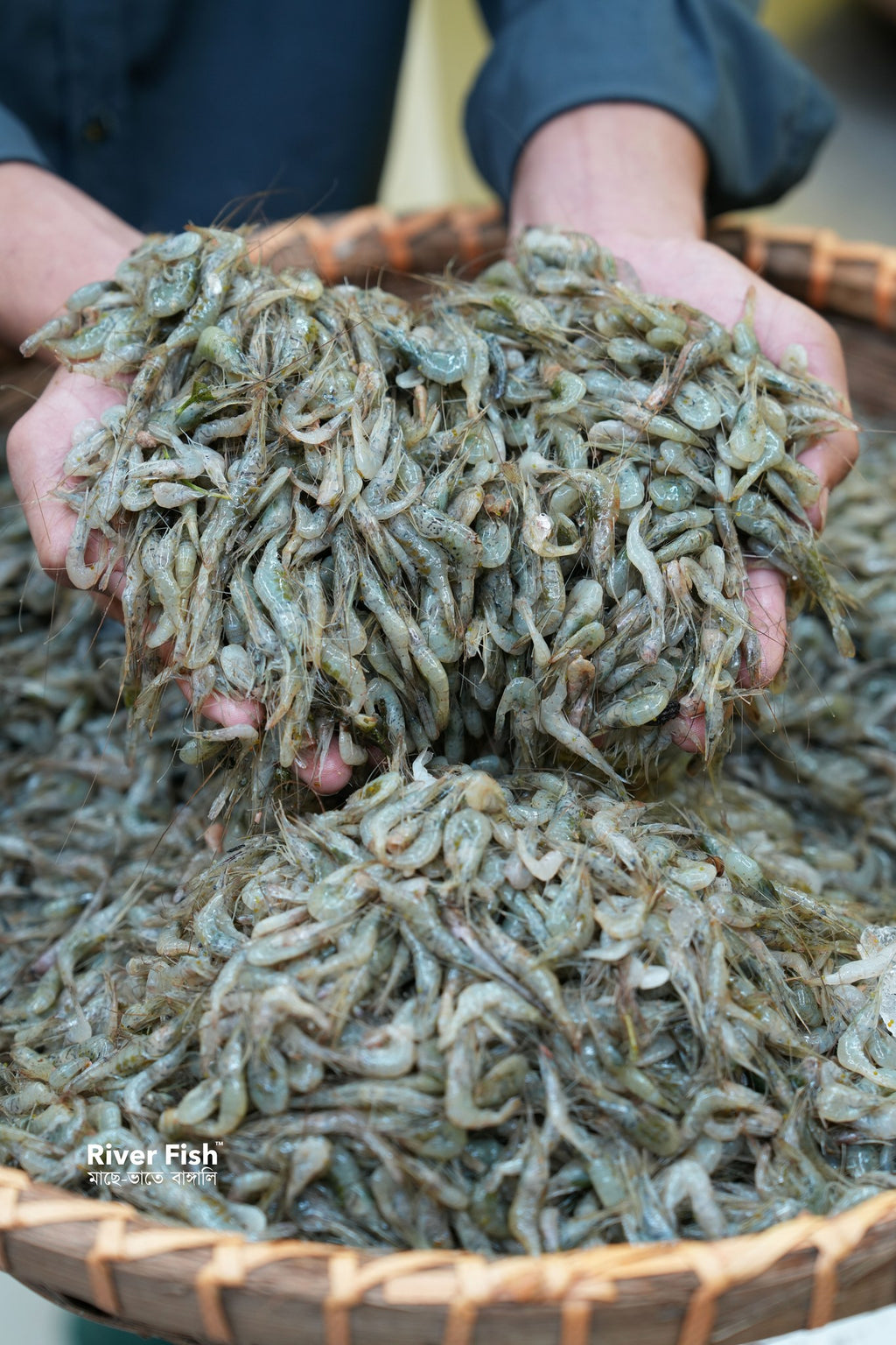 নদীর কালচে চিংড়ি/ সবজি চিংড়ি মিক্সড সাইজ
