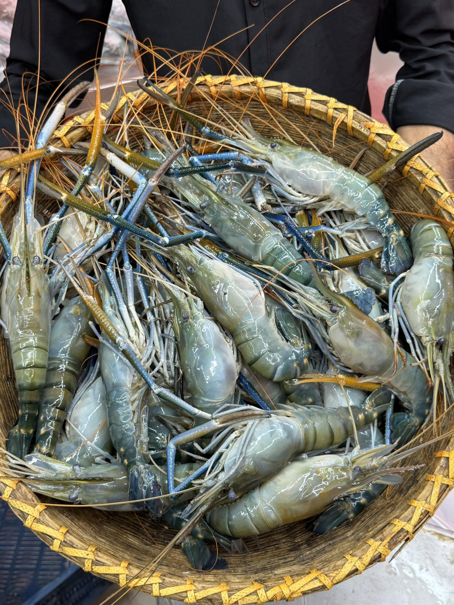 গলদা চিংড়ি ৫/৭ পিসে কেজি