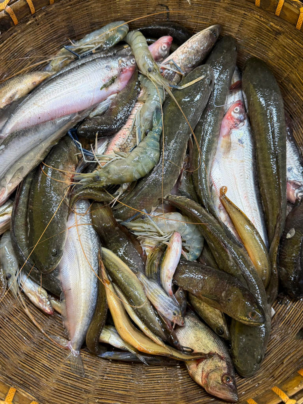 ধনু নদীর পাঁচমিশালি মাছ পারকেজি ৯৫০/- (শুধু মাত্র শুক্রবারের জন্য)