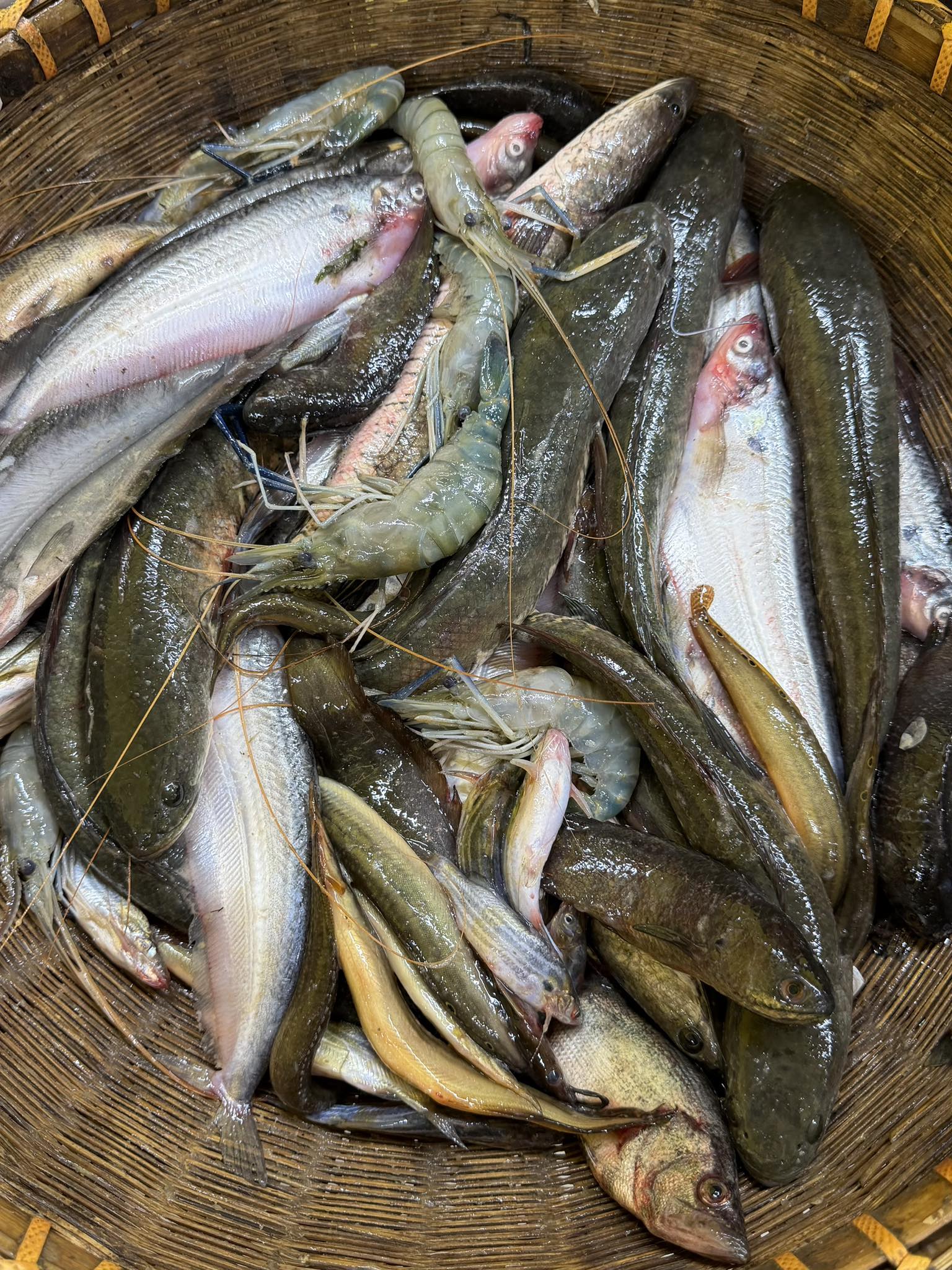 ধনু নদীর দেশি পাঁচমিশালি মাছ পারকেজি ৯৫০/- (শুধু মাত্র শুক্রবারের জন্য)