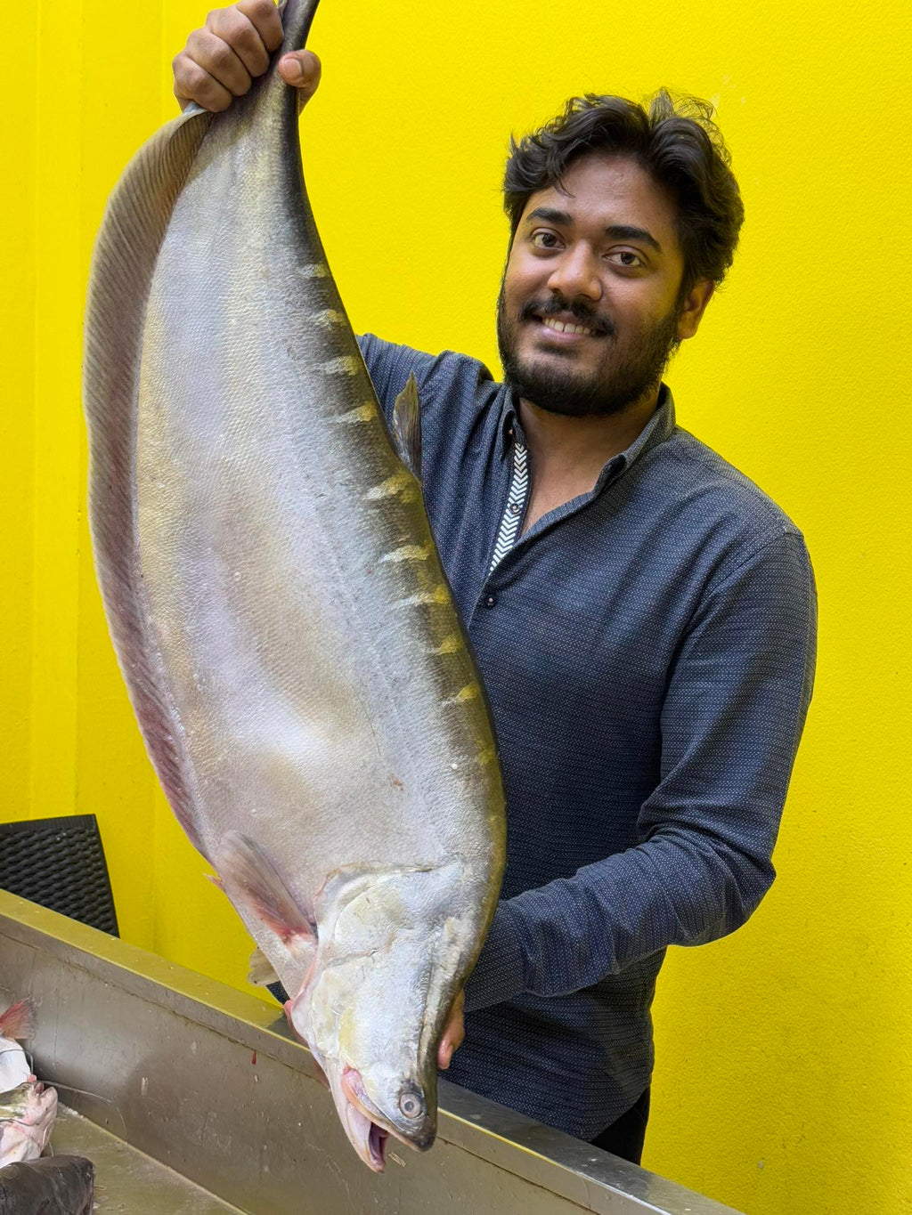 নদীর চিতল মাছ ৫ থেকে সারে ৫ কেজি প্লাস সাইজ পারকেজি 1250/-