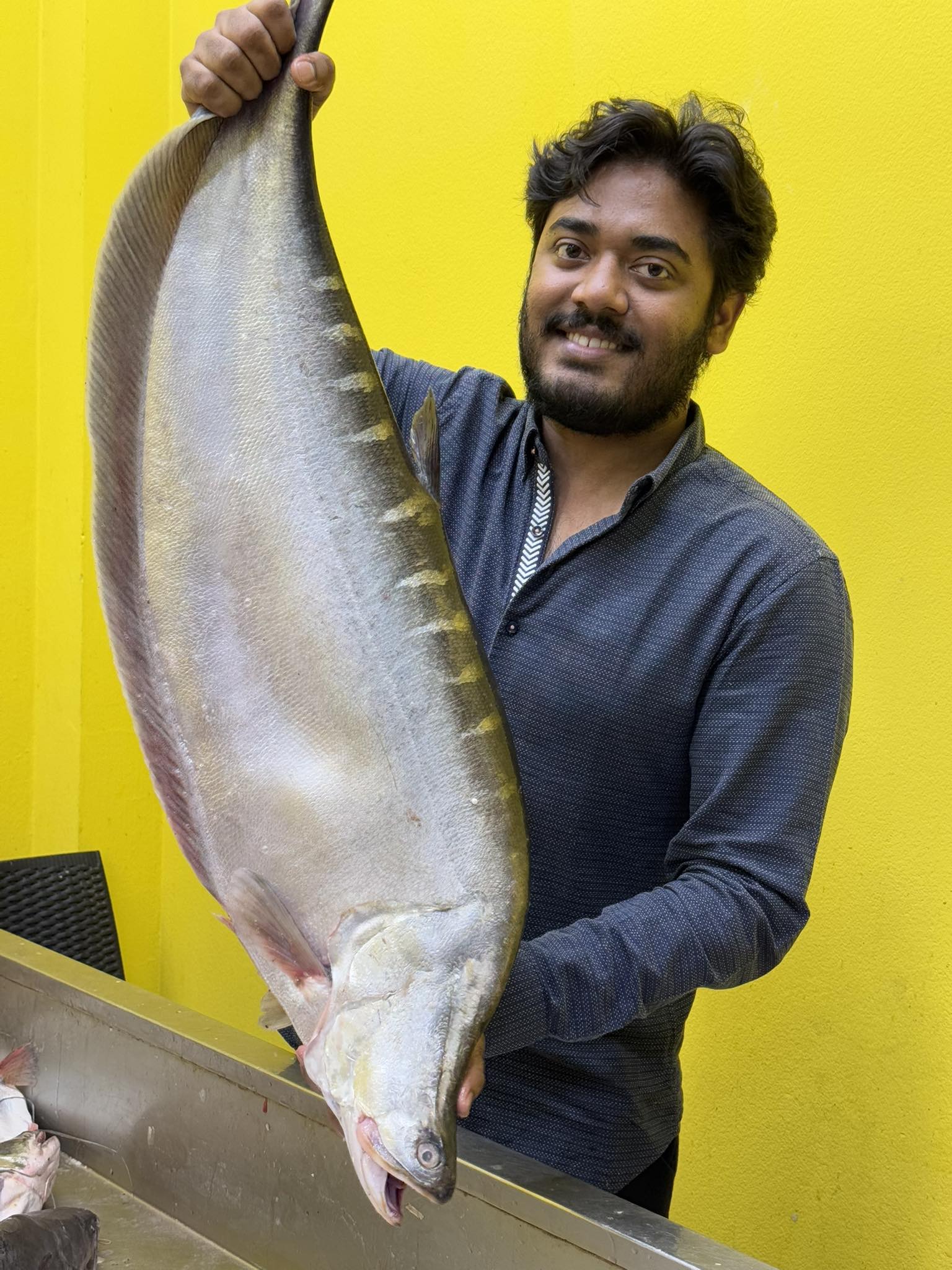 নদীর চিতল মাছ ৫ থেকে সারে ৫ কেজি প্লাস সাইজ পারকেজি 1250/-