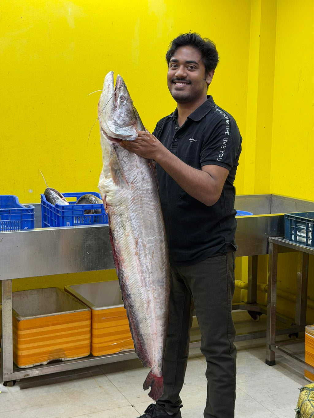 কিশোরগঞ্জের ধনু নদীর বোয়াল-৭ কেজি প্লাস সাইজ পারকেজি ১৮০০/-
