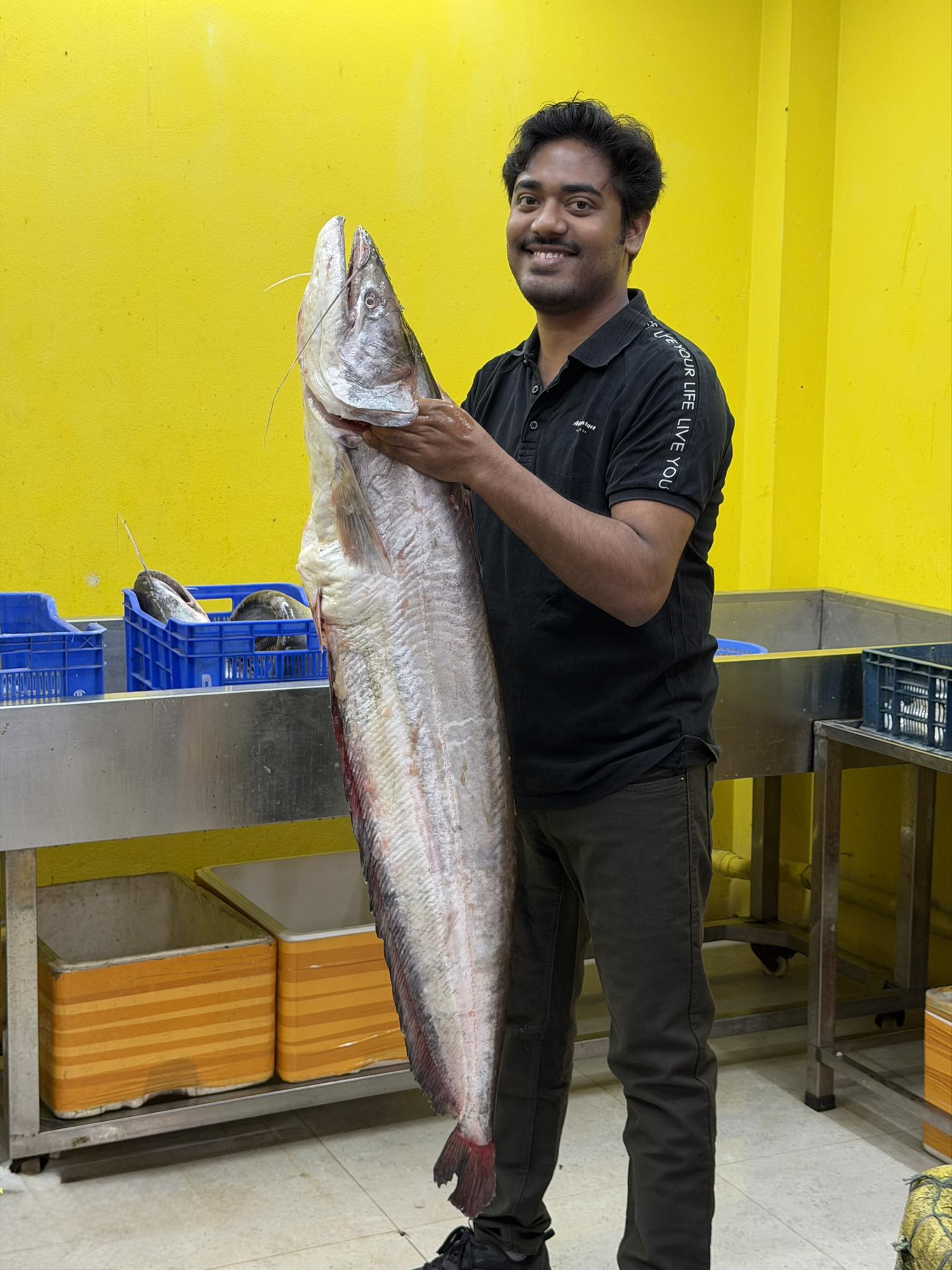 কিশোরগঞ্জের ধনু নদীর বোয়াল-৭ কেজি প্লাস সাইজ পারকেজি ১৮০০/-