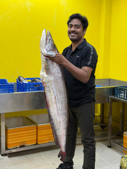 কিশোরগঞ্জের ধনু নদীর বোয়াল-৭ কেজি প্লাস সাইজ পারকেজি ১৮০০/-