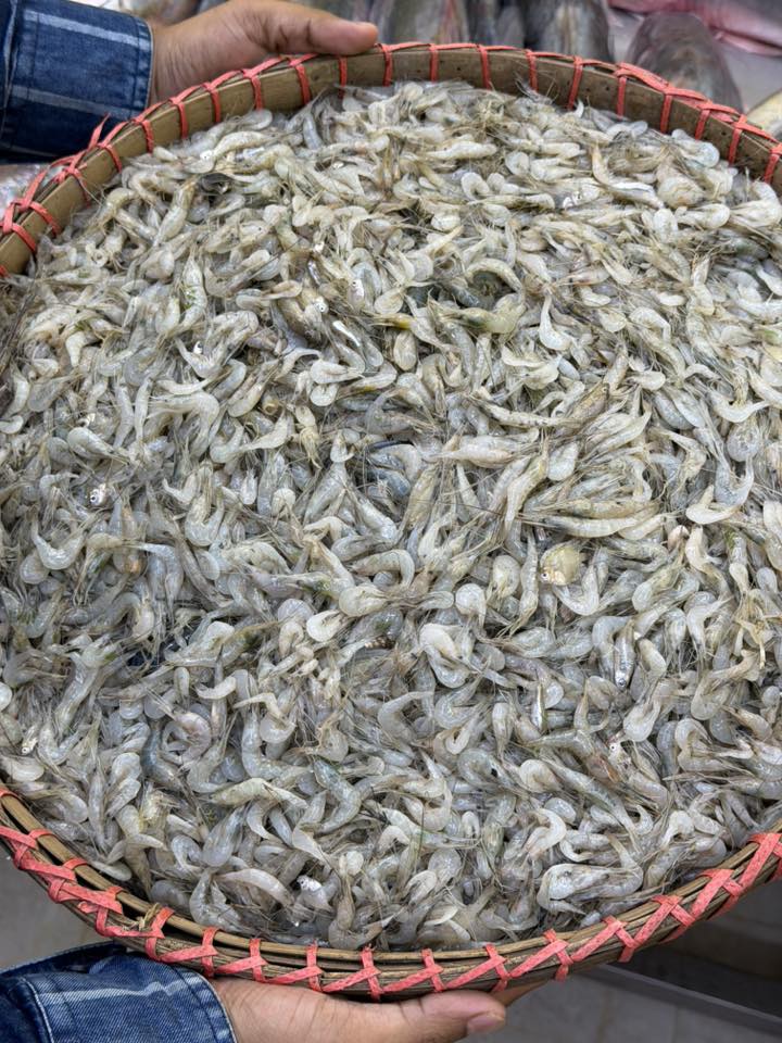 নদীর কইচ্যা / সবজি চিংড়ি মিক্সড সাইজ