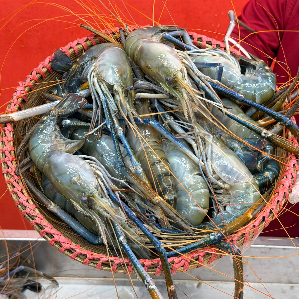 গলদা ৫/৭ পিসে কেজি