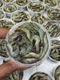 বাগদা চিংড়ি (২৫/৩০ পিসে কেজি সাইজ)