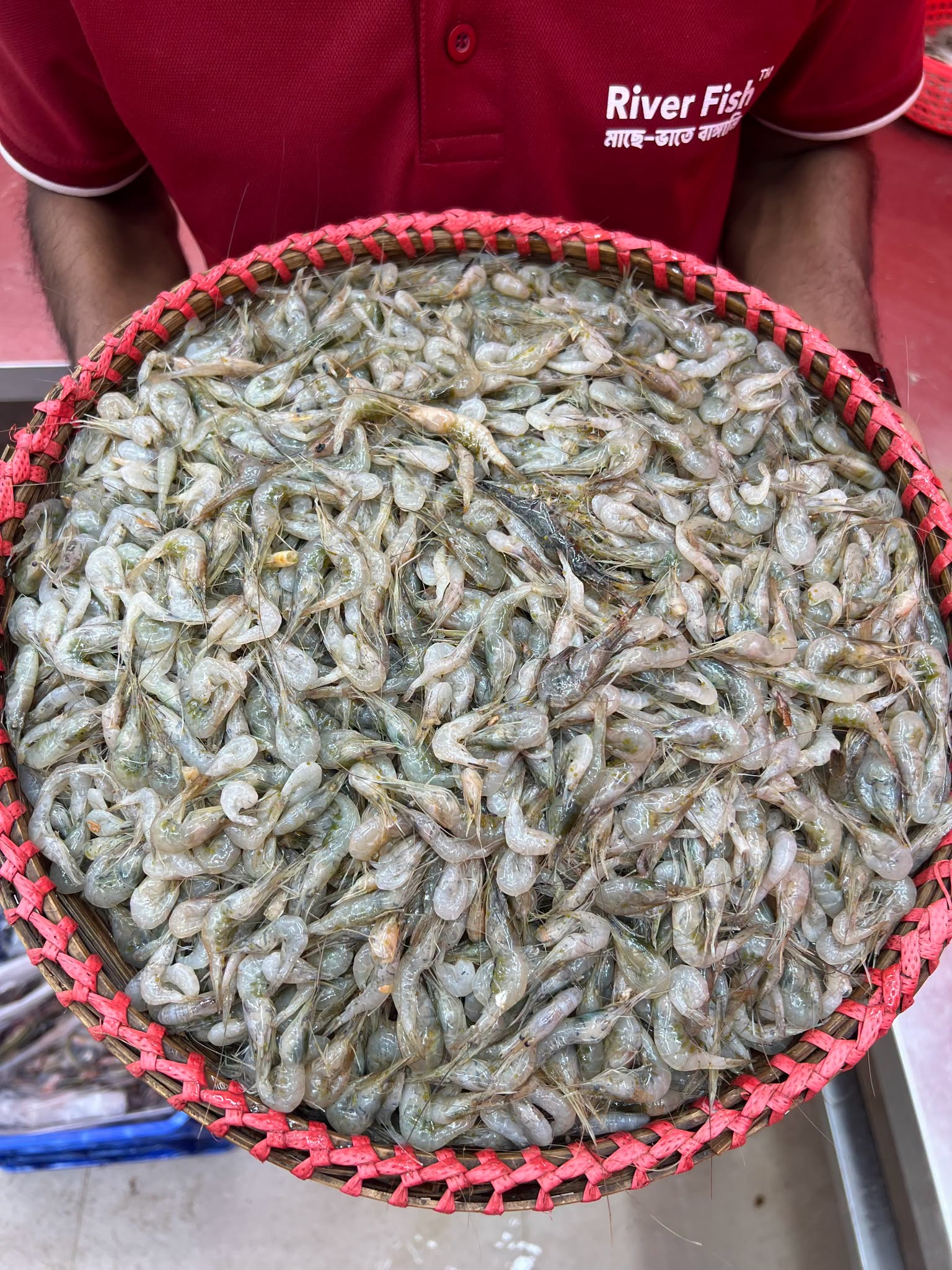 নদীর কালচে চিংড়ি/ সবজি চিংড়ি মিক্সড সাইজ
