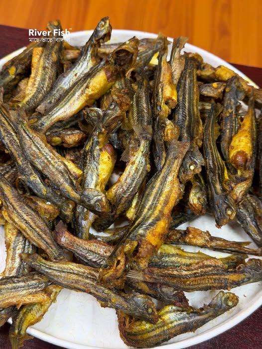 নদীর মধু টেংরা
