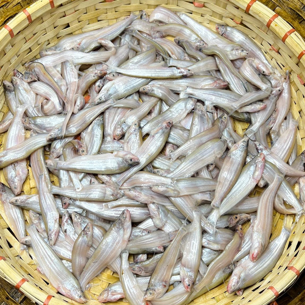 যমুনা নদীর কাজুলি - বাঁশপাতা মাছ ১ কেজি