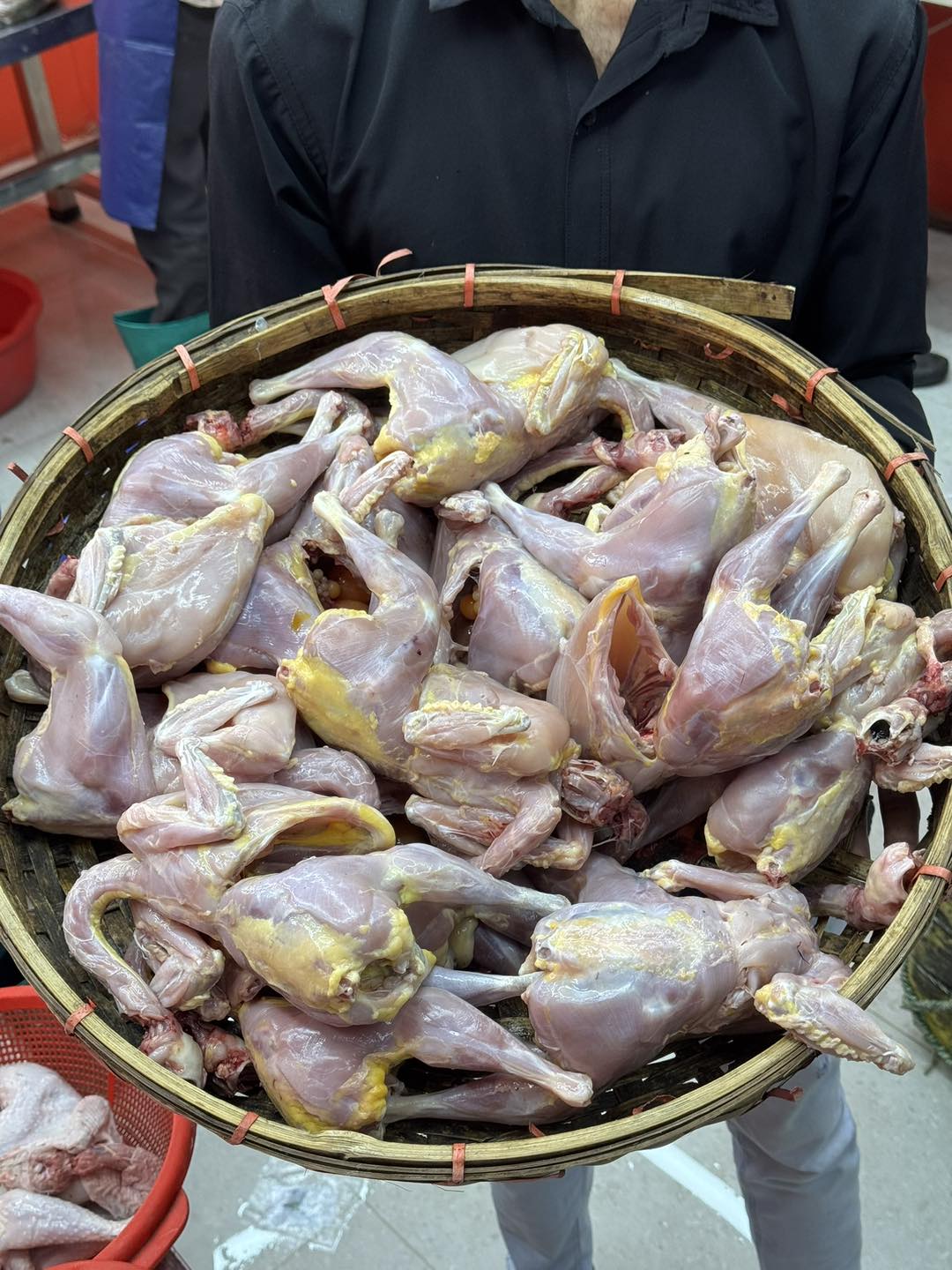 গ্রামের দেশি মুরগি (ডিমপাড়া তেলওয়ালা) লাইভ ওয়েট ৯০০/৯৫০গ্রাম সাইজ
