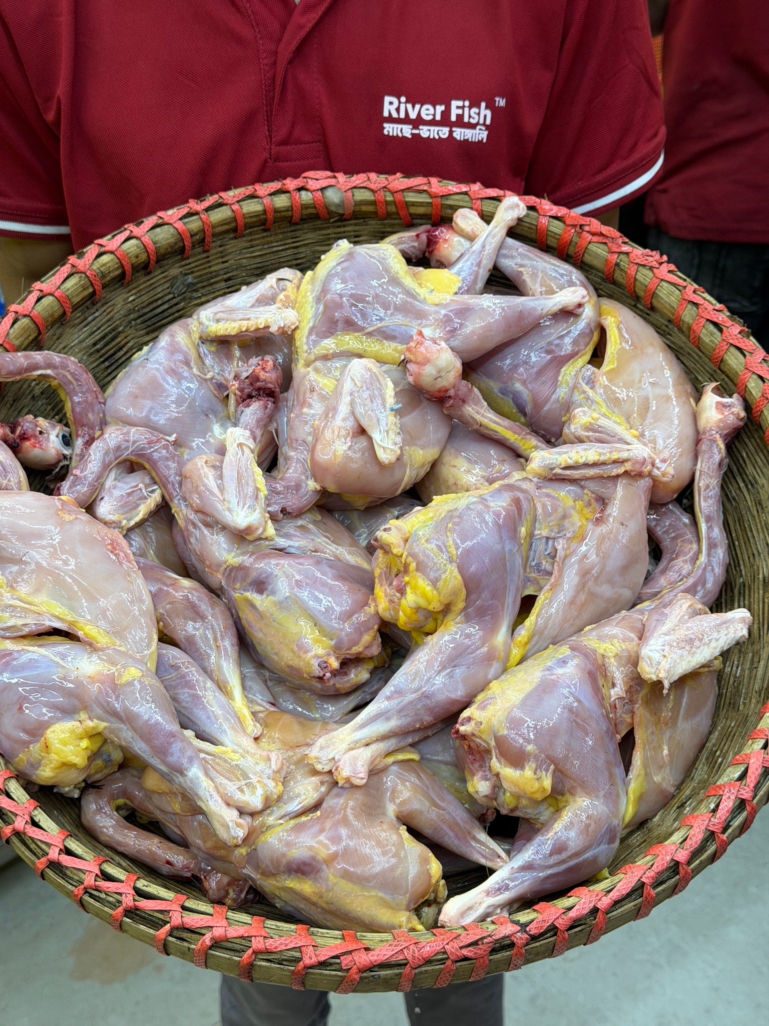 গ্রামের দেশি মুরগি (ডিমপাড়া তেলওয়ালা) লাইভ ওয়েট ৯০০/৯৫০গ্রাম সাইজ