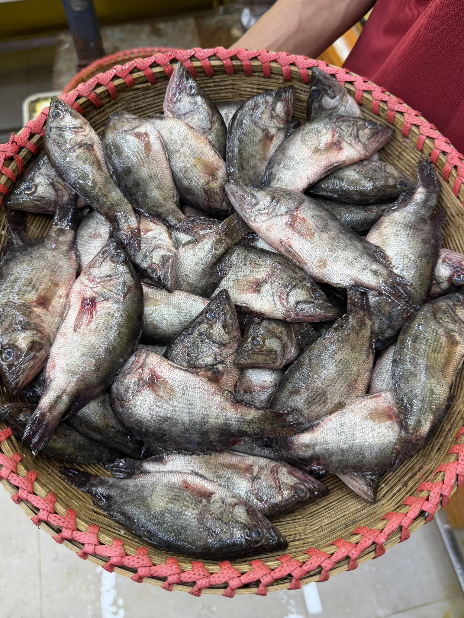 হাওরের মেনি মাছ (কেজিতে ২০/২৫ পিস)