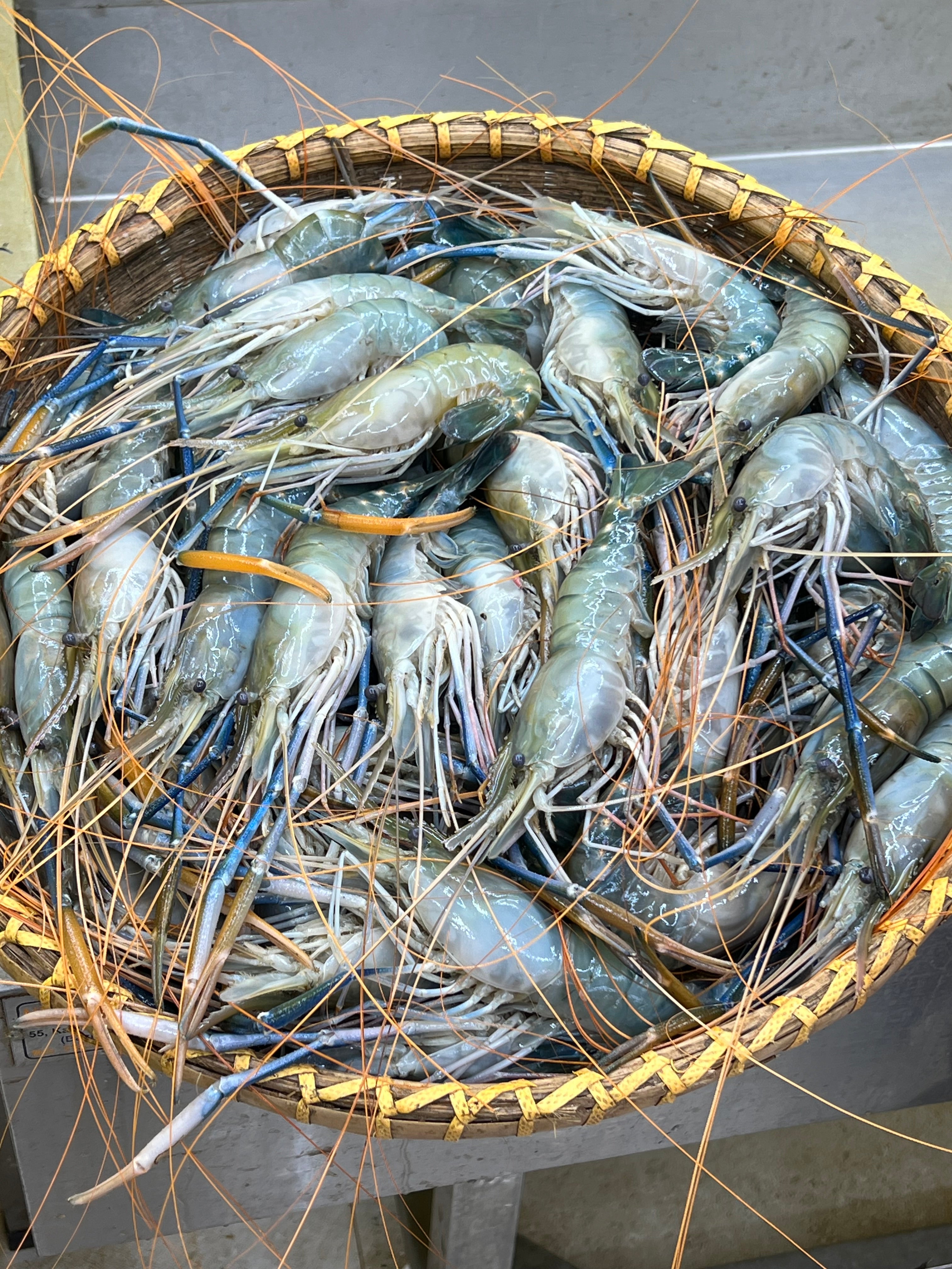 গলদা (১০-১৩ পিসে কেজি)