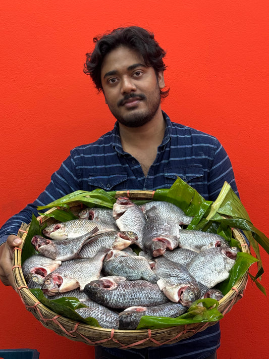 (প্রি-অর্ডার বুকিং - ডেলিভারি টাইম ৭ দিন) সুন্দরবন কেন্দ্রিক উপকূলীয় খালের তেলাপিয়া মাছ