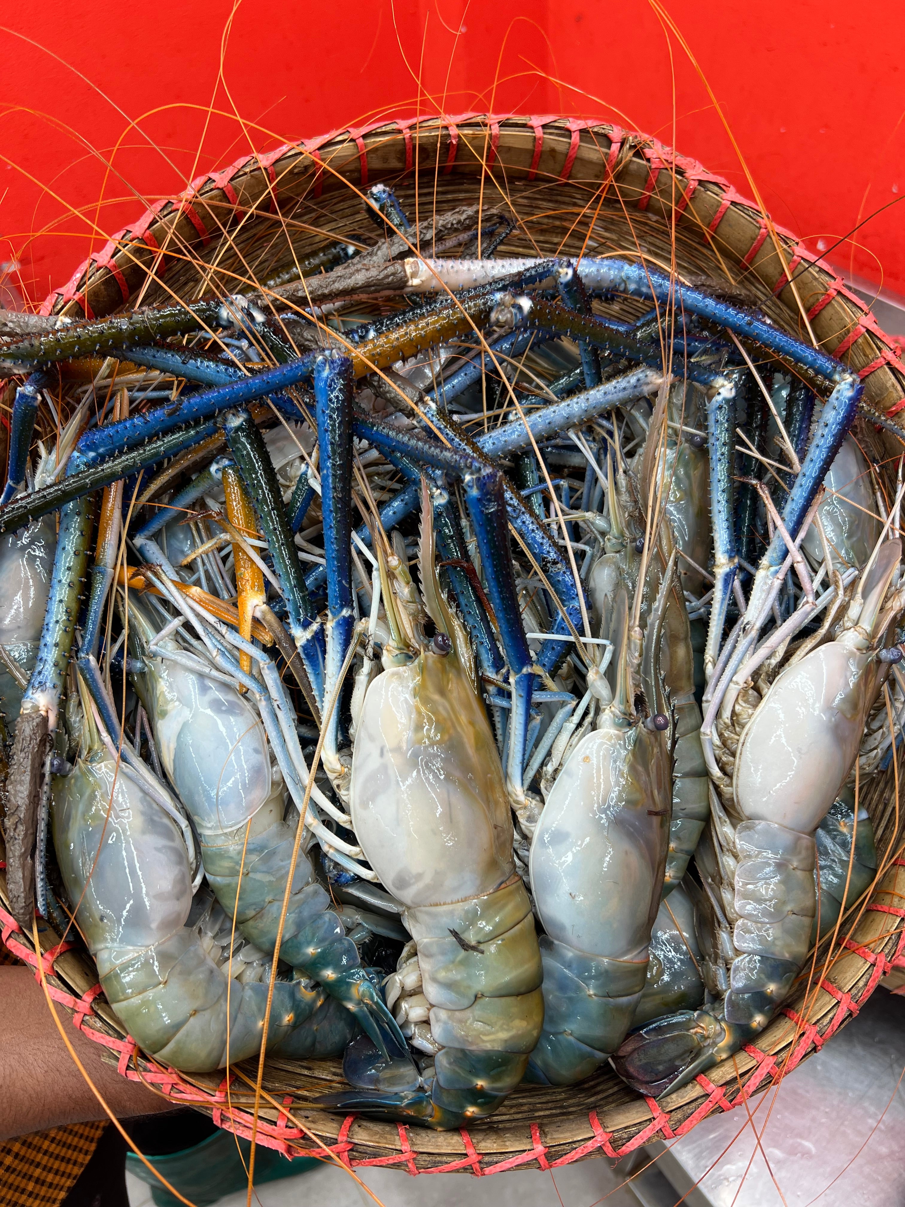 গলদা ৫/৭ পিসে কেজি