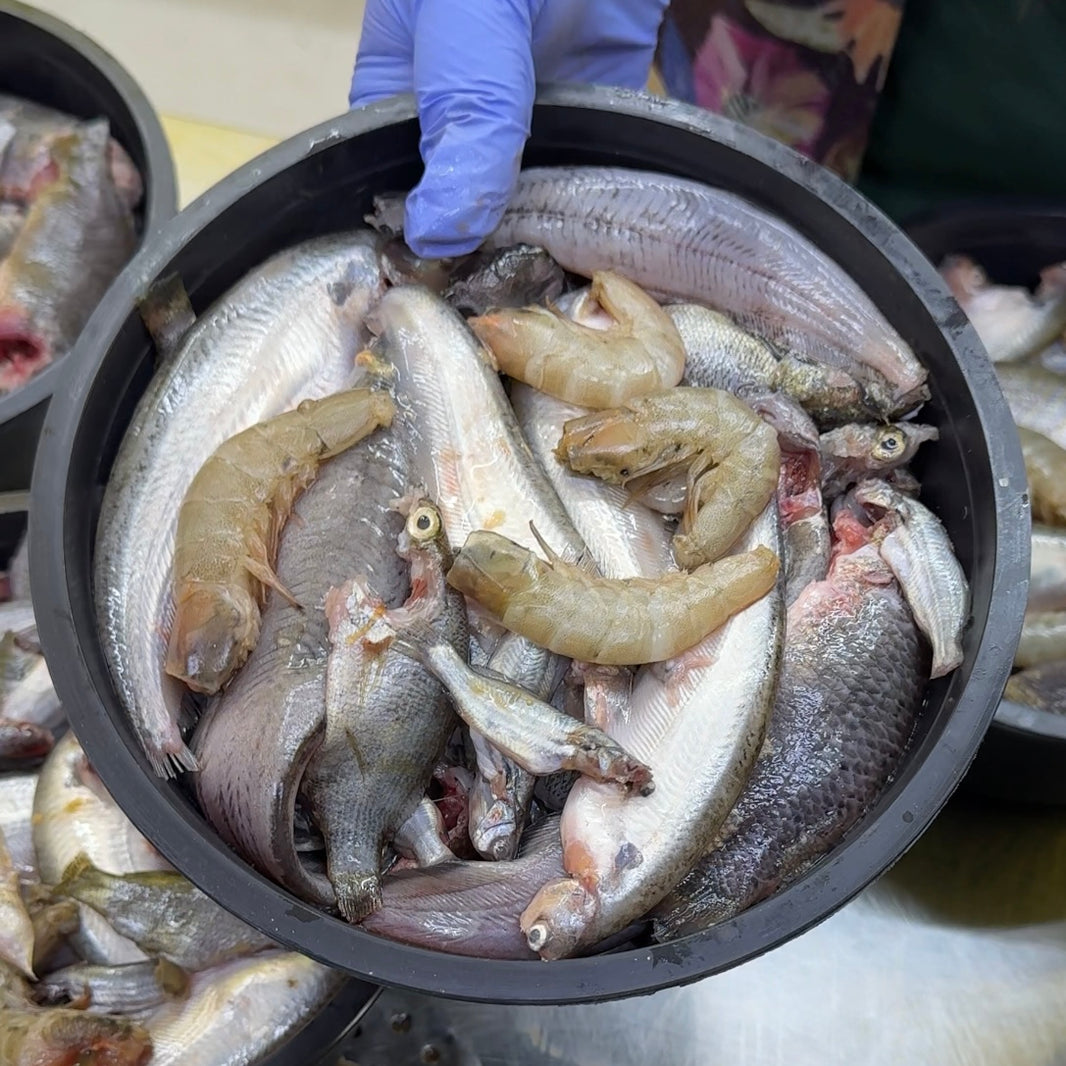 বিলের দেশি মাছ - River Fish