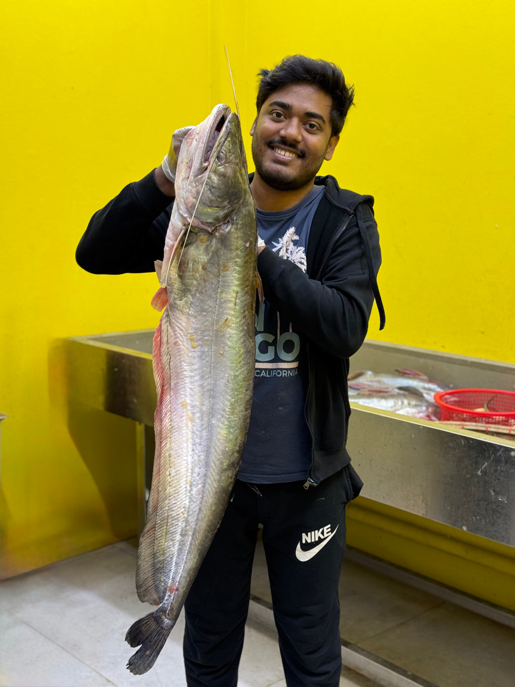 কিশোরগঞ্জের ধনু নদীর বোয়াল-৭ কেজি প্লাস সাইজ পারকেজি ১৮০০/-