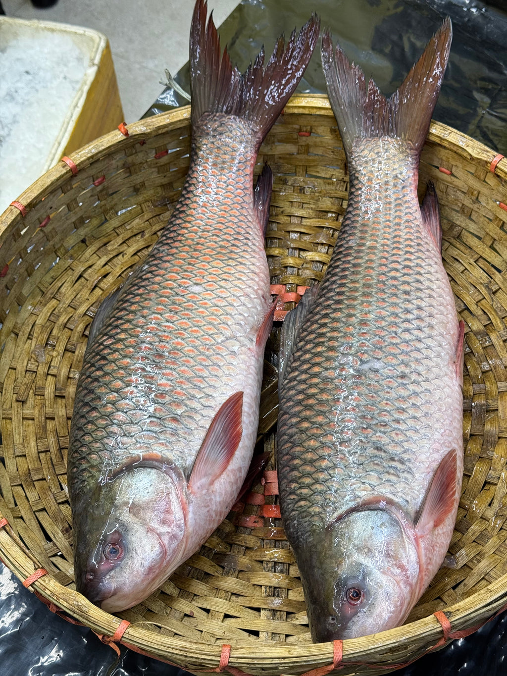 মেঘনা নদীর রুই ৭ কেজি সাইজ পারকেজি ১১৫০/-