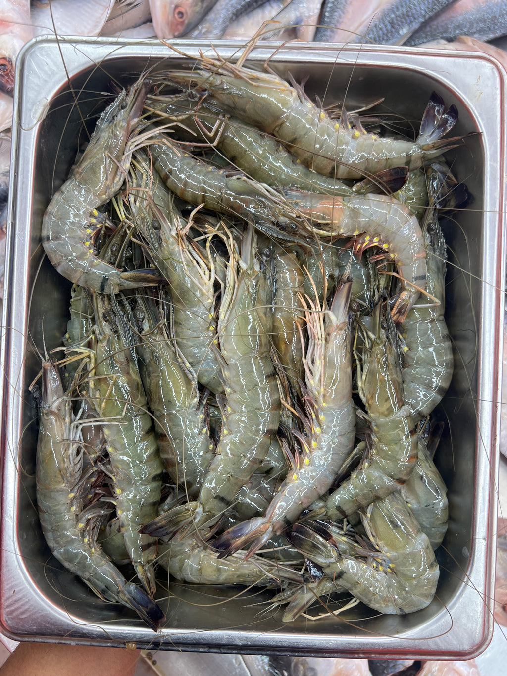 বাগদা চিংড়ি (২৫/৩০ পিসে কেজি সাইজ)