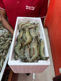 বাগদা চিংড়ি (২৫/৩০ পিসে কেজি সাইজ)
