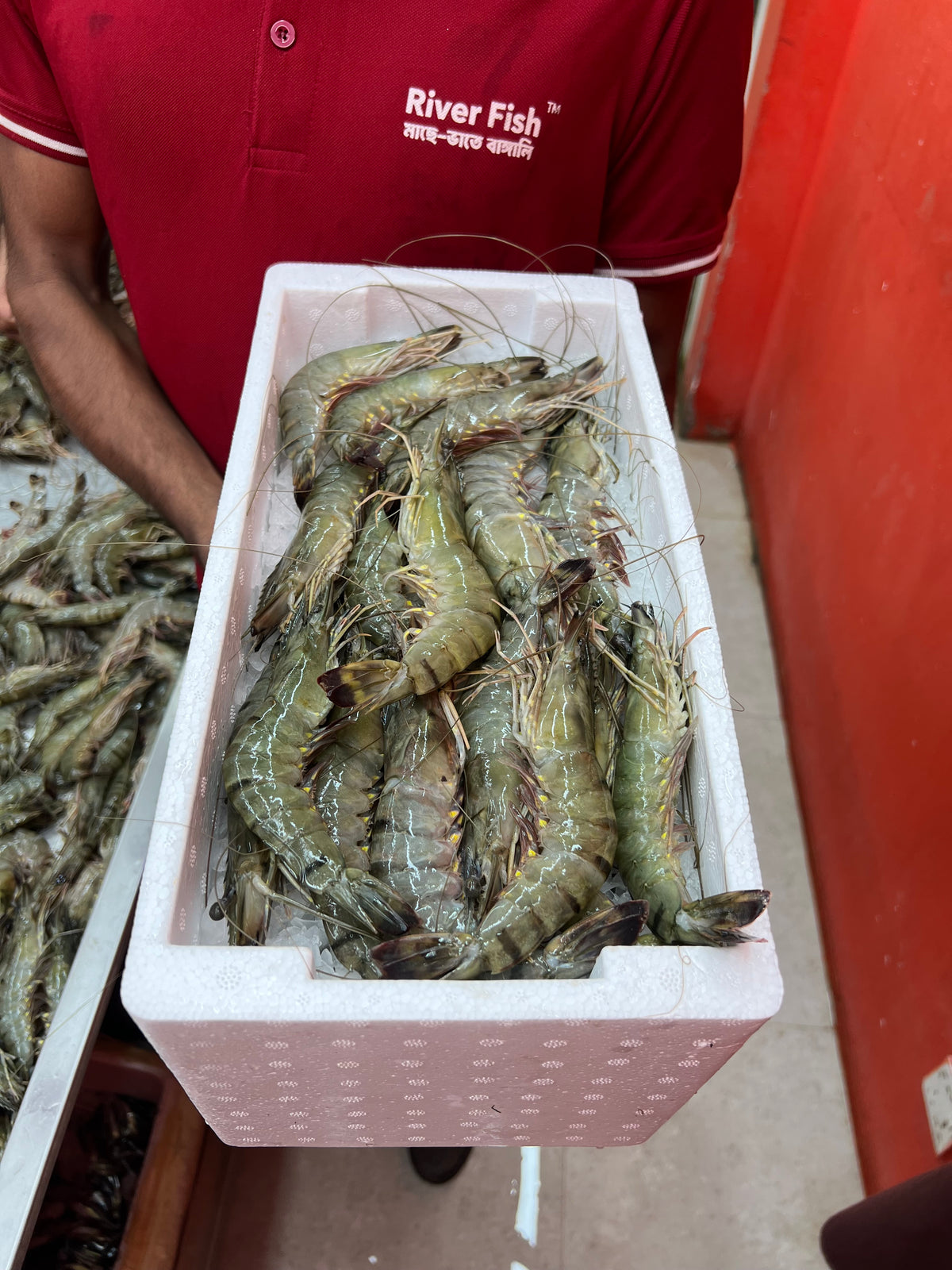বাগদা চিংড়ি (২৫/৩০ পিসে কেজি সাইজ)