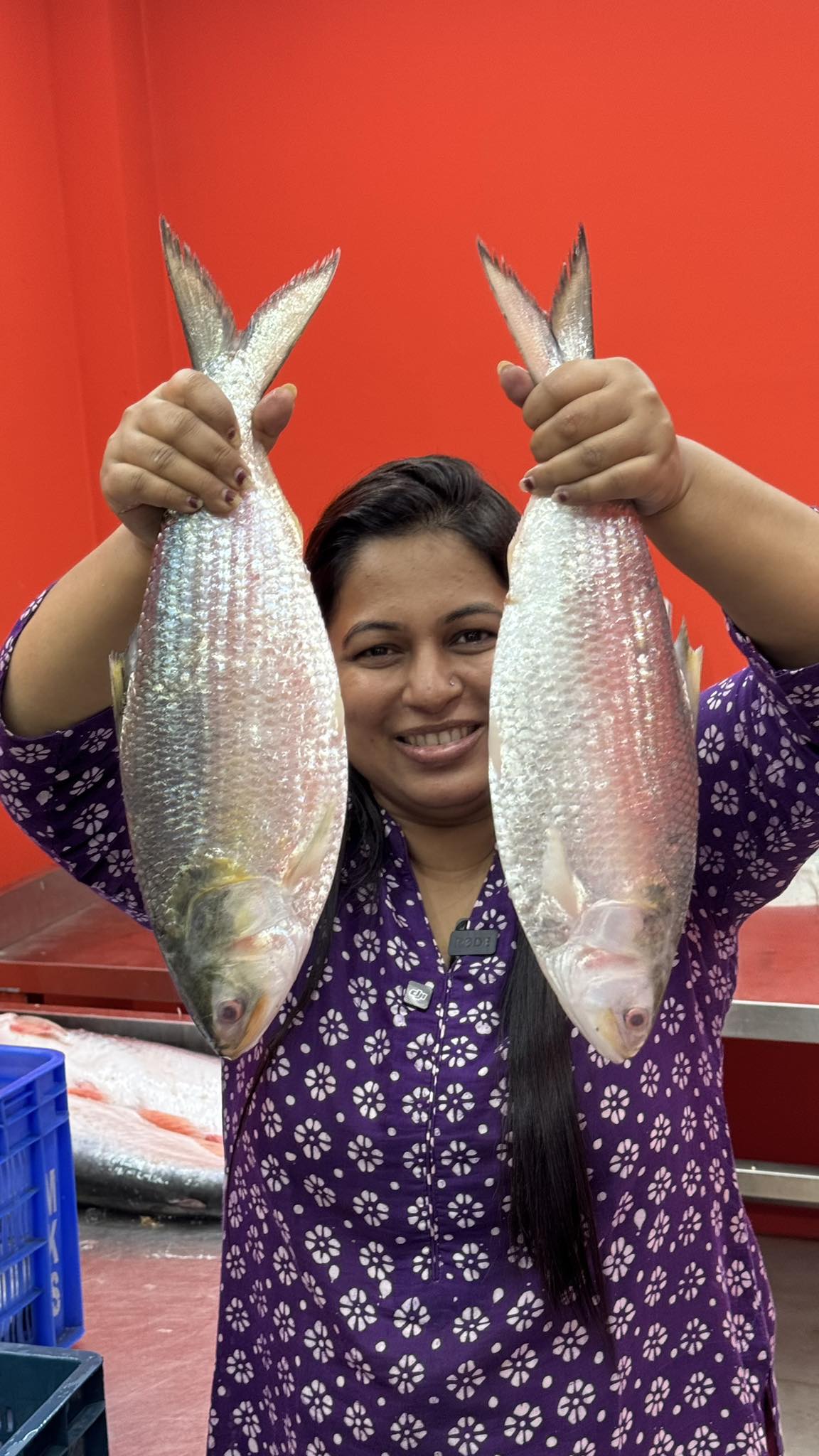 চাঁদপুরের লোকাল ইলিশ ৮০০/৯০০ গ্রাম সাইজ পারকেজি- ৩১০০/-