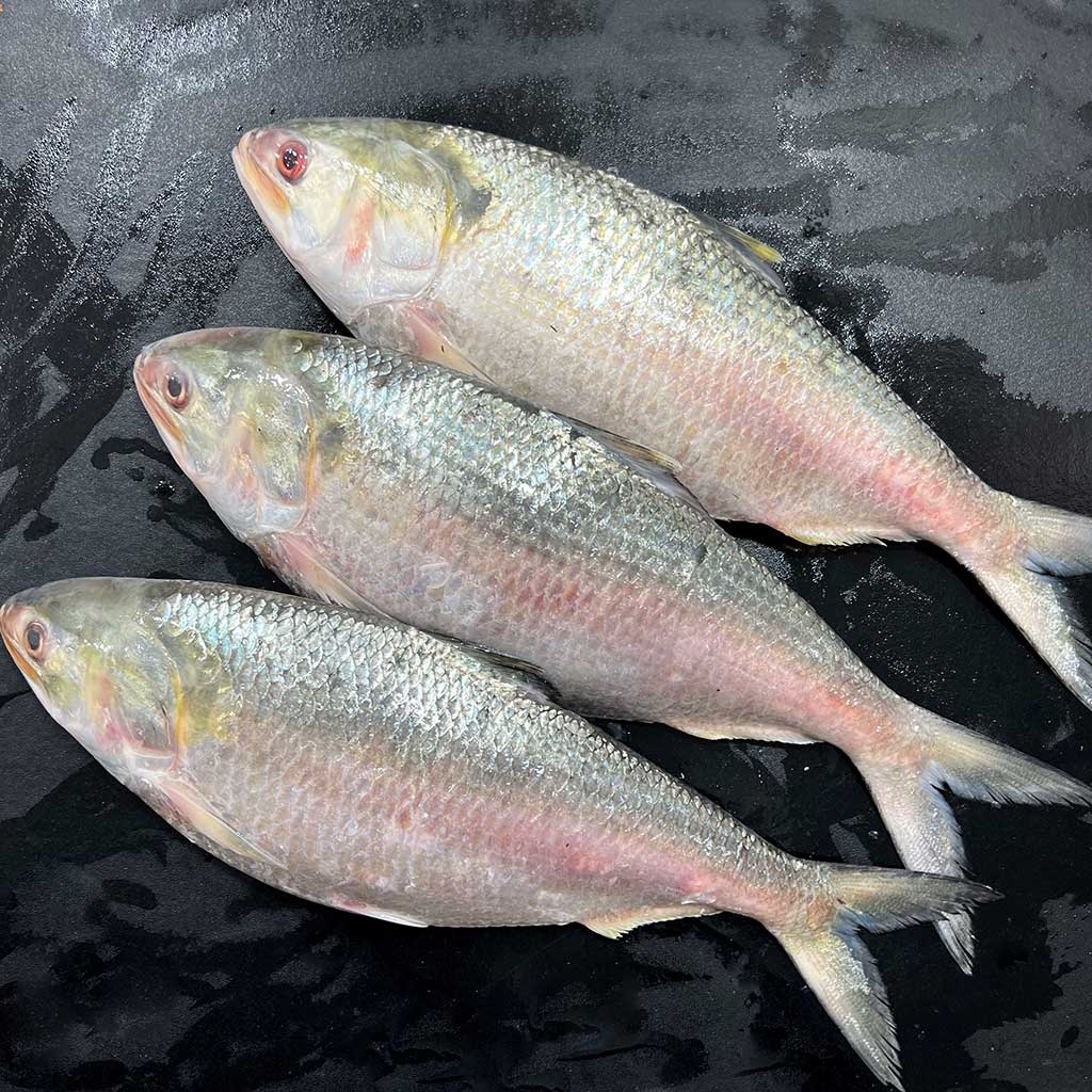 Products – River Fish