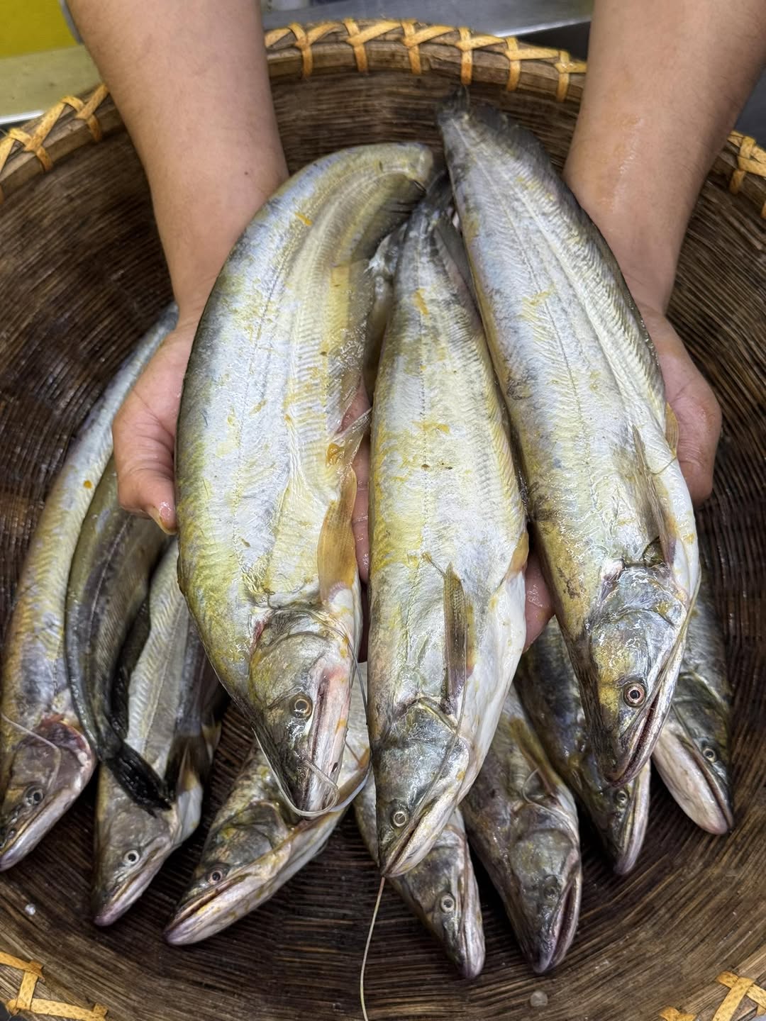 কিশোরগঞ্জের ধনু নদীর বোয়াল- ২/৩ পিসে কেজি সাইজ পারকেজি ৭৯০/-