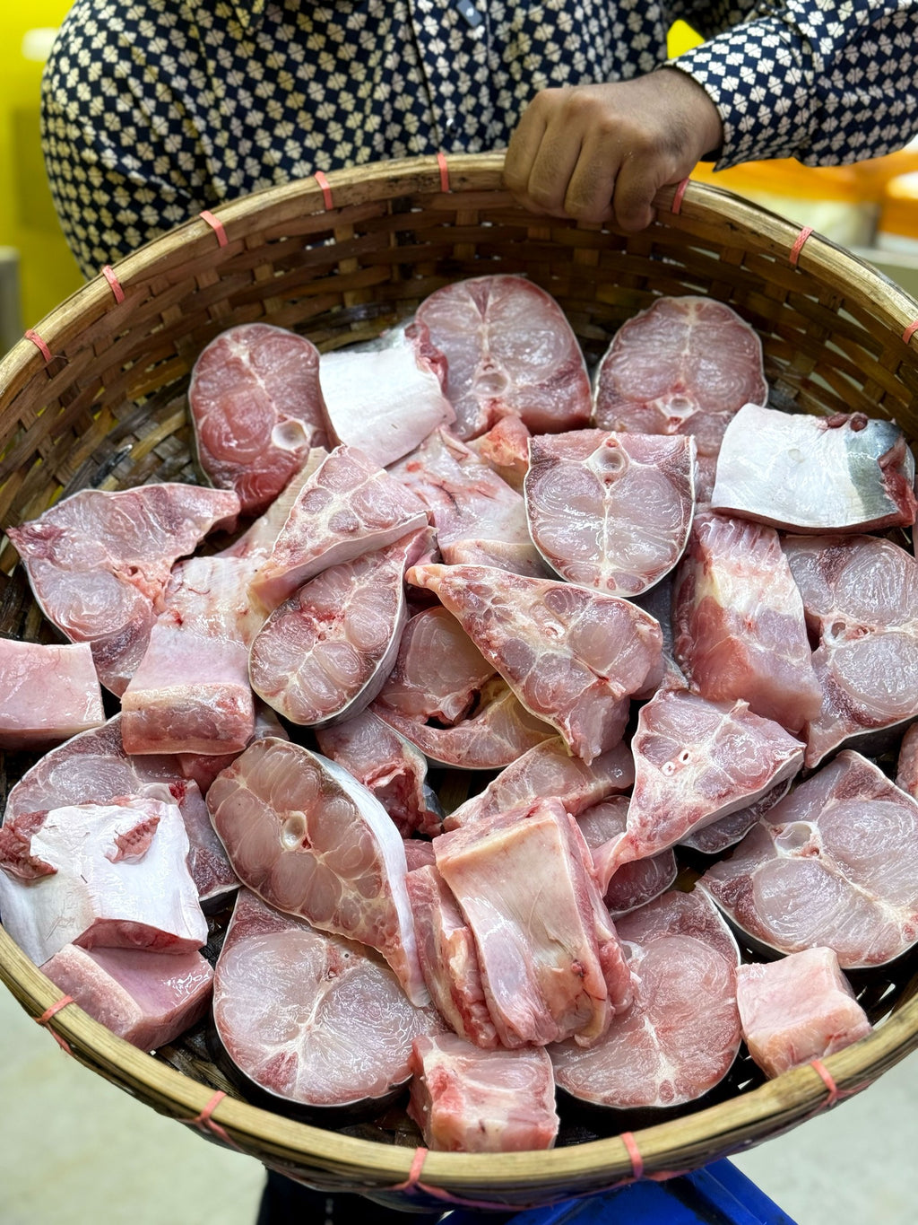 নদীর পাংগাসের ভাগা অফার