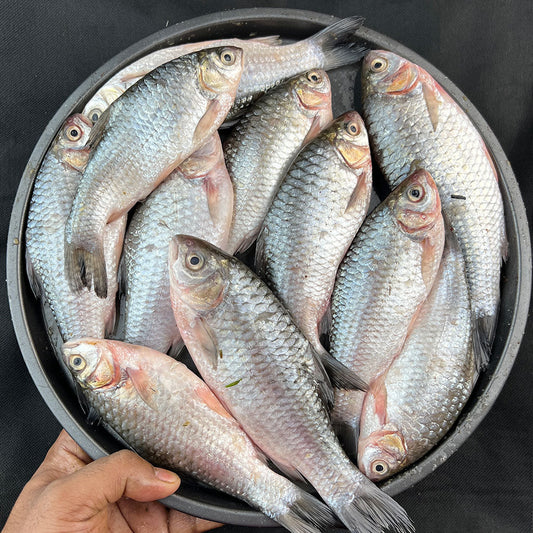 দেশি স্বরপুটি (৬-৮ পিসে কেজি) হাফ কেজি